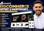 bigcommerce fix bigcommerce bug fix bigcommerce support bigcommerce maintenance
